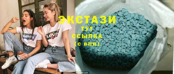 ECSTASY Богданович