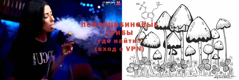 кракен как зайти  Ельня  Галлюциногенные грибы MAGIC MUSHROOMS 